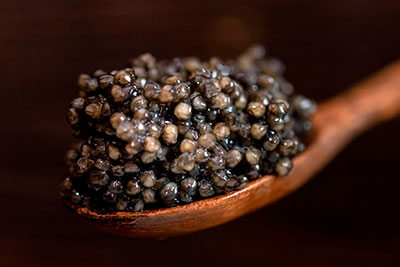 Caviar Genuss 1 Caviar Genuss 1