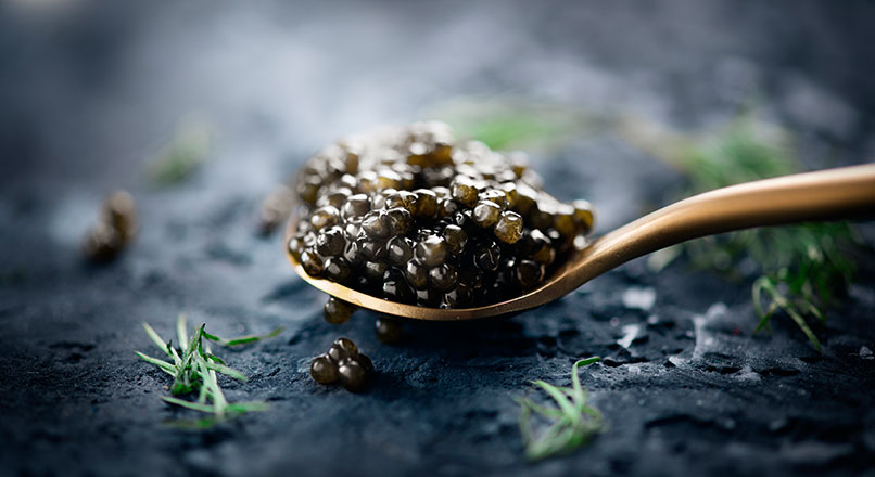 Caviar Caviar