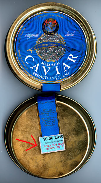 Cites