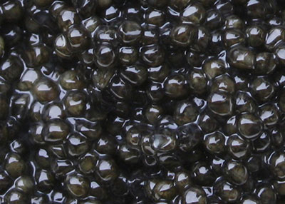 Amur Stör Caviar Amur Stör Caviar