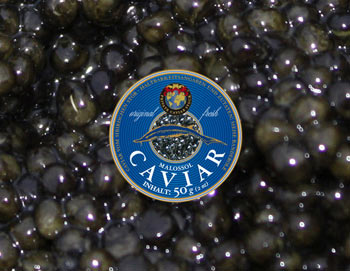 50g frischer Sibirischer Stör Caviar