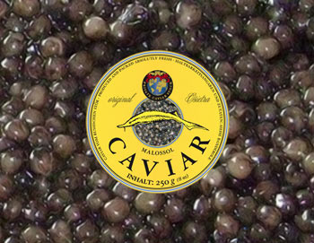 250g Osietra Russischer Stör Caviar