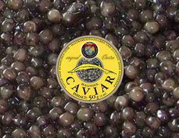50g Osietra Russischer Stör Caviar